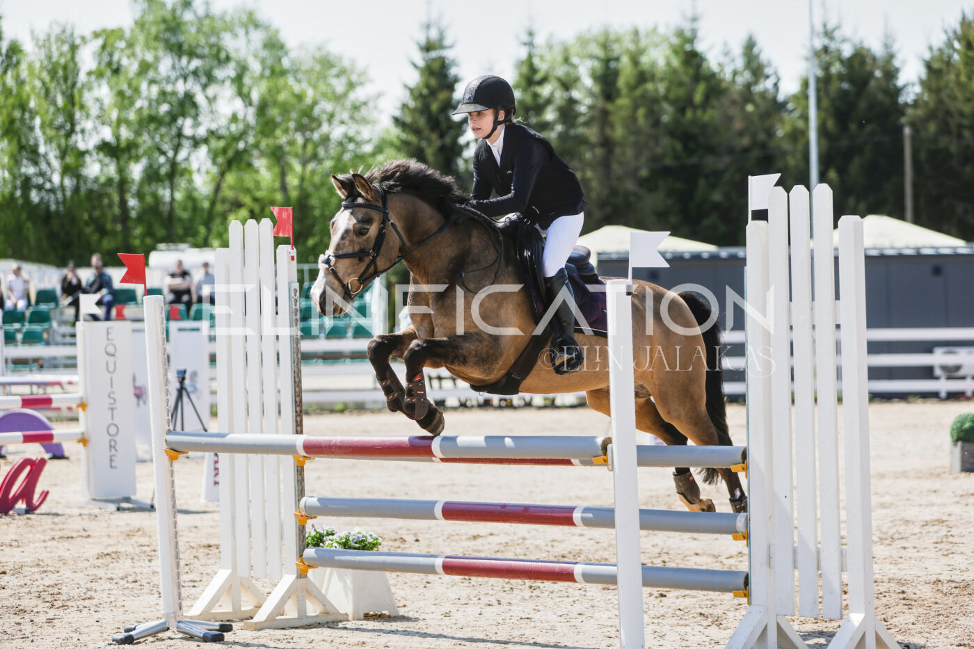 Gramina_Kevad_2026_100_032
