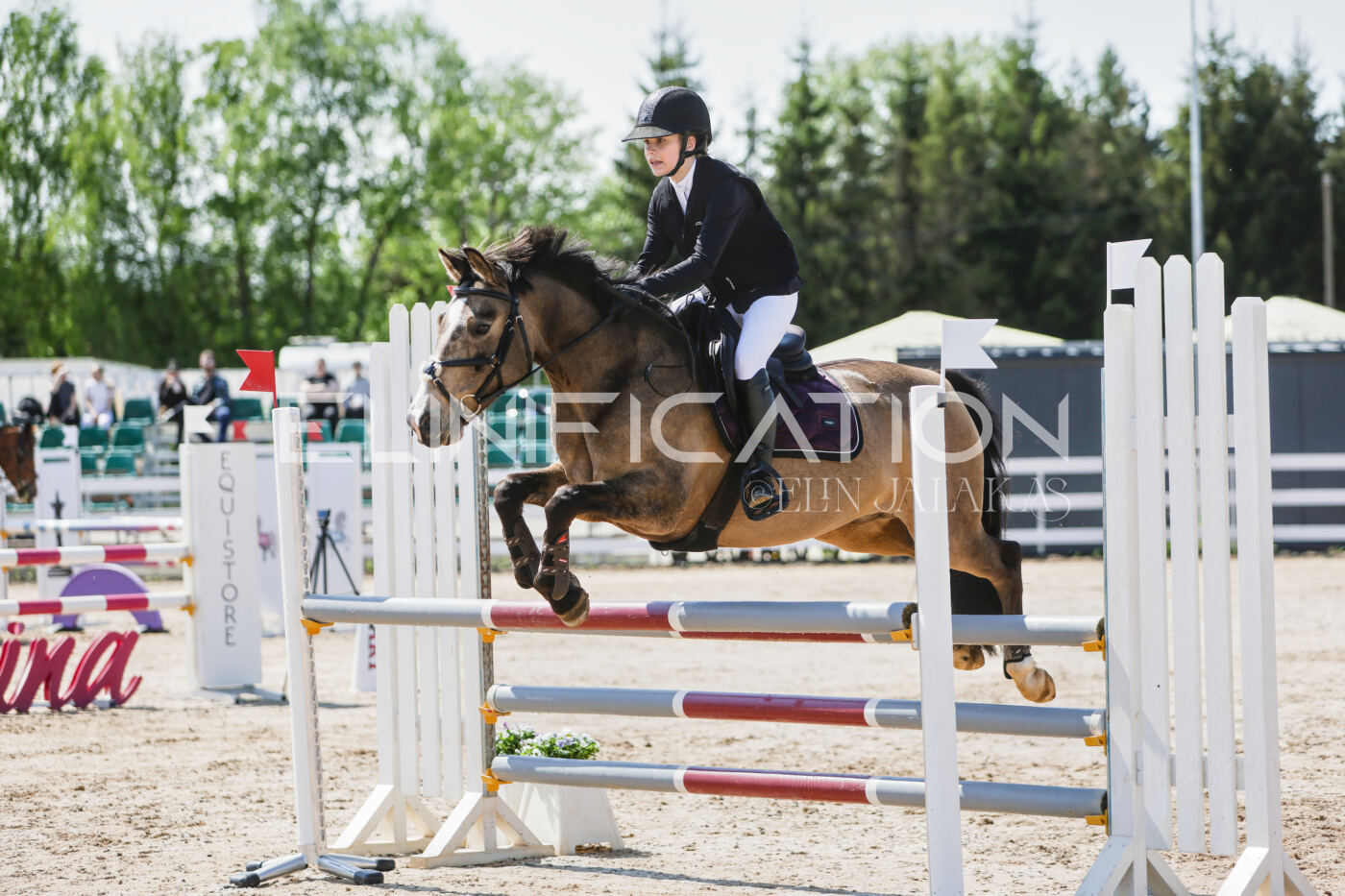 Gramina_Kevad_2026_100_033