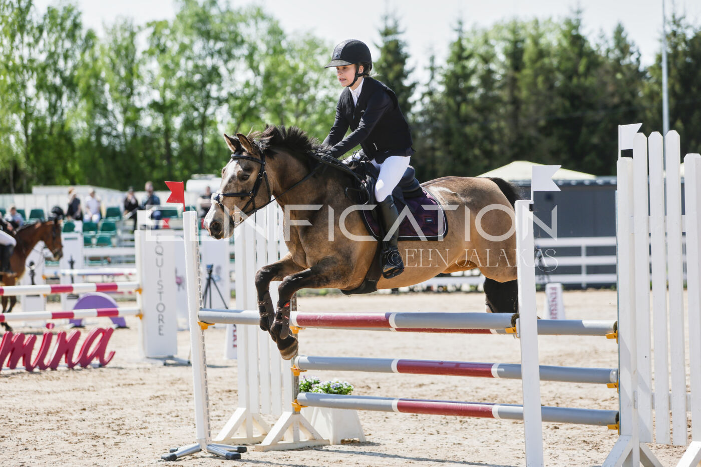 Gramina_Kevad_2026_100_034