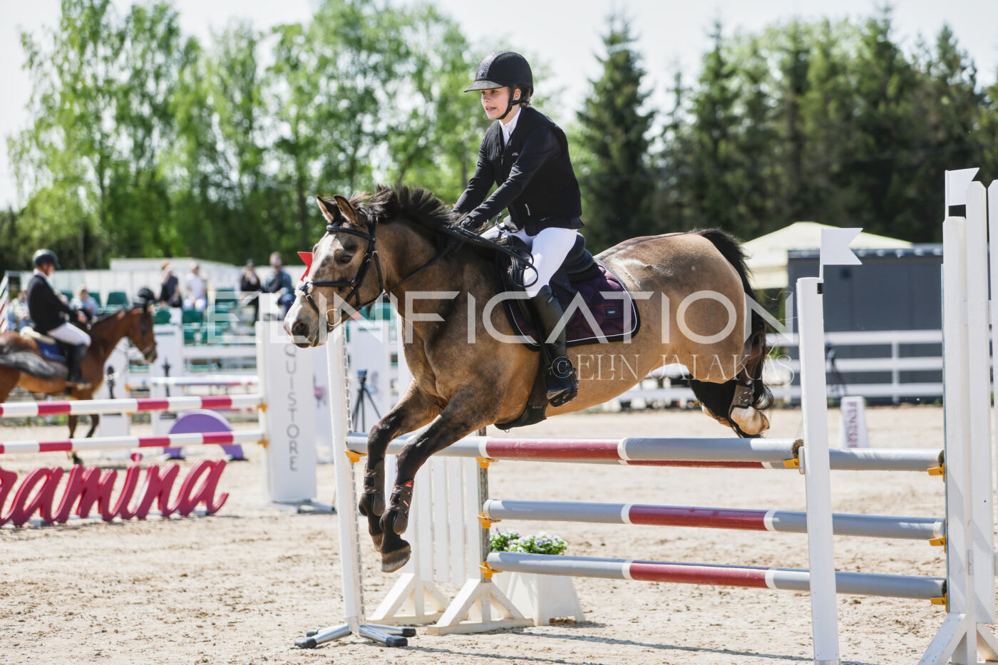 Gramina_Kevad_2026_100_035