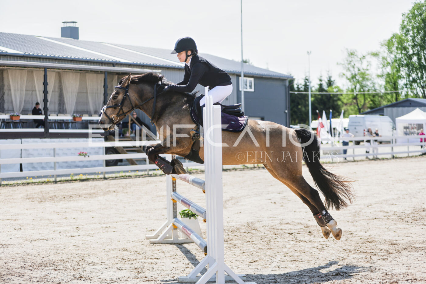 Gramina_Kevad_2026_100_036