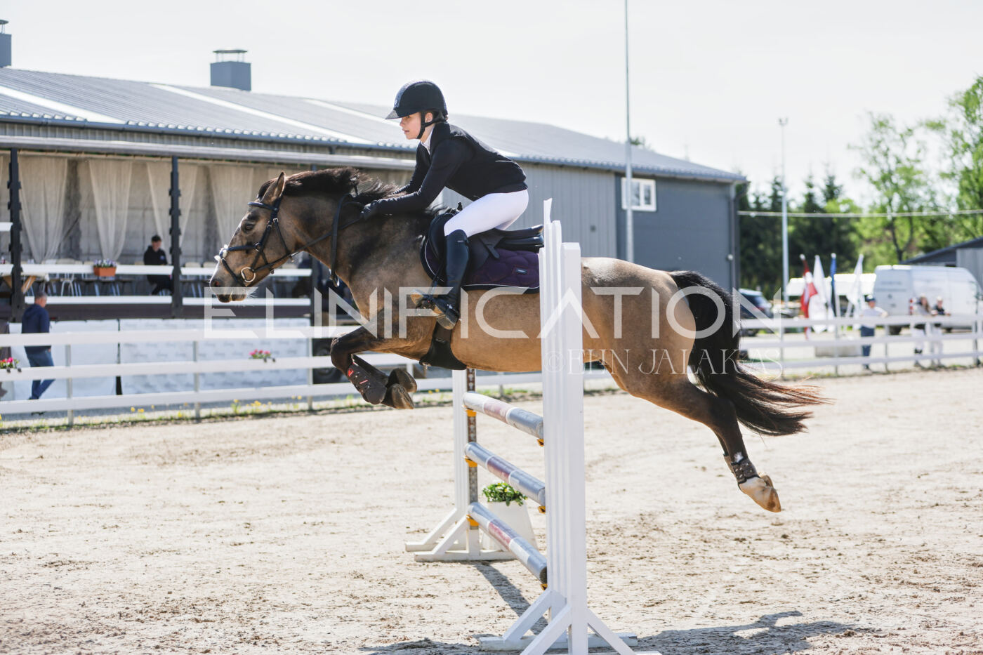 Gramina_Kevad_2026_100_037