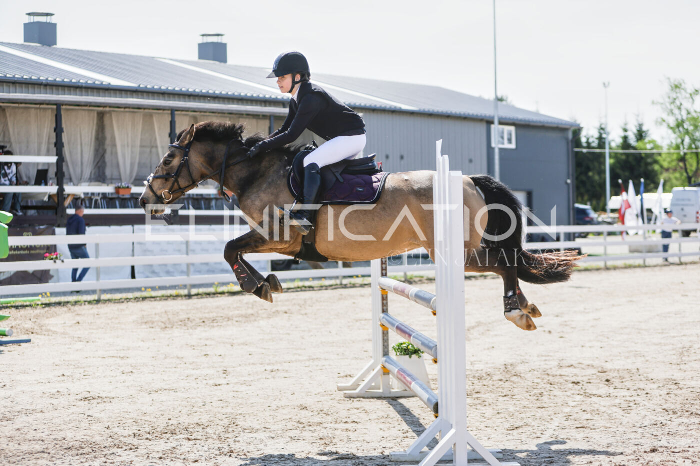 Gramina_Kevad_2026_100_038