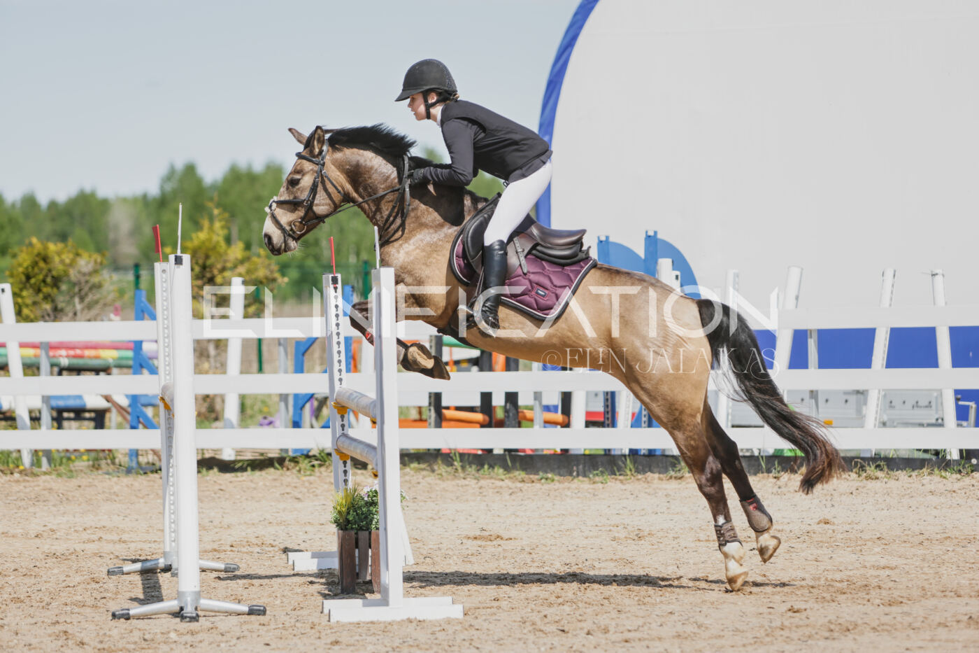 Gramina_Kevad_2026_100_039