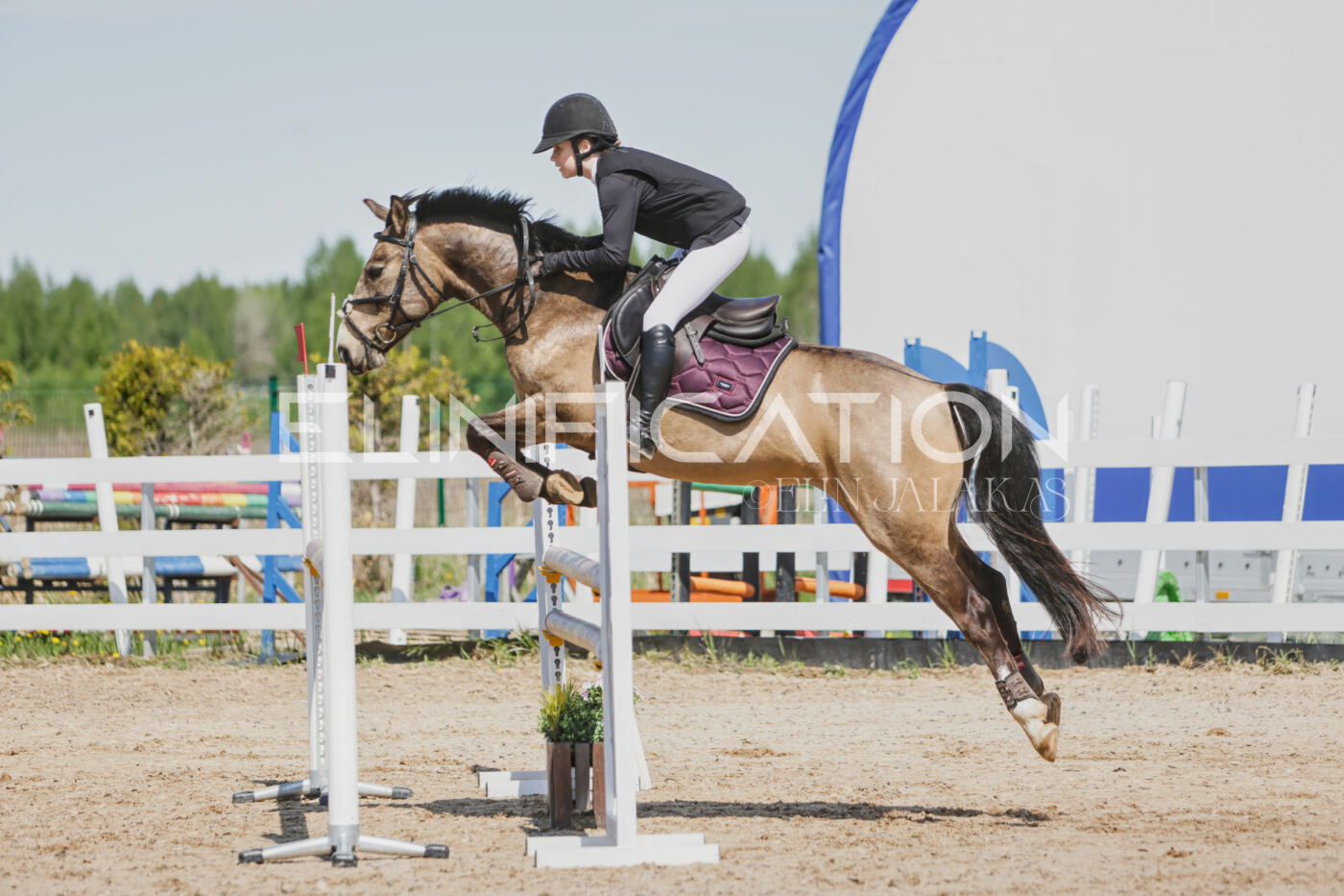 Gramina_Kevad_2026_100_040