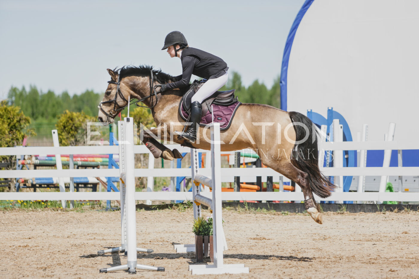 Gramina_Kevad_2026_100_041
