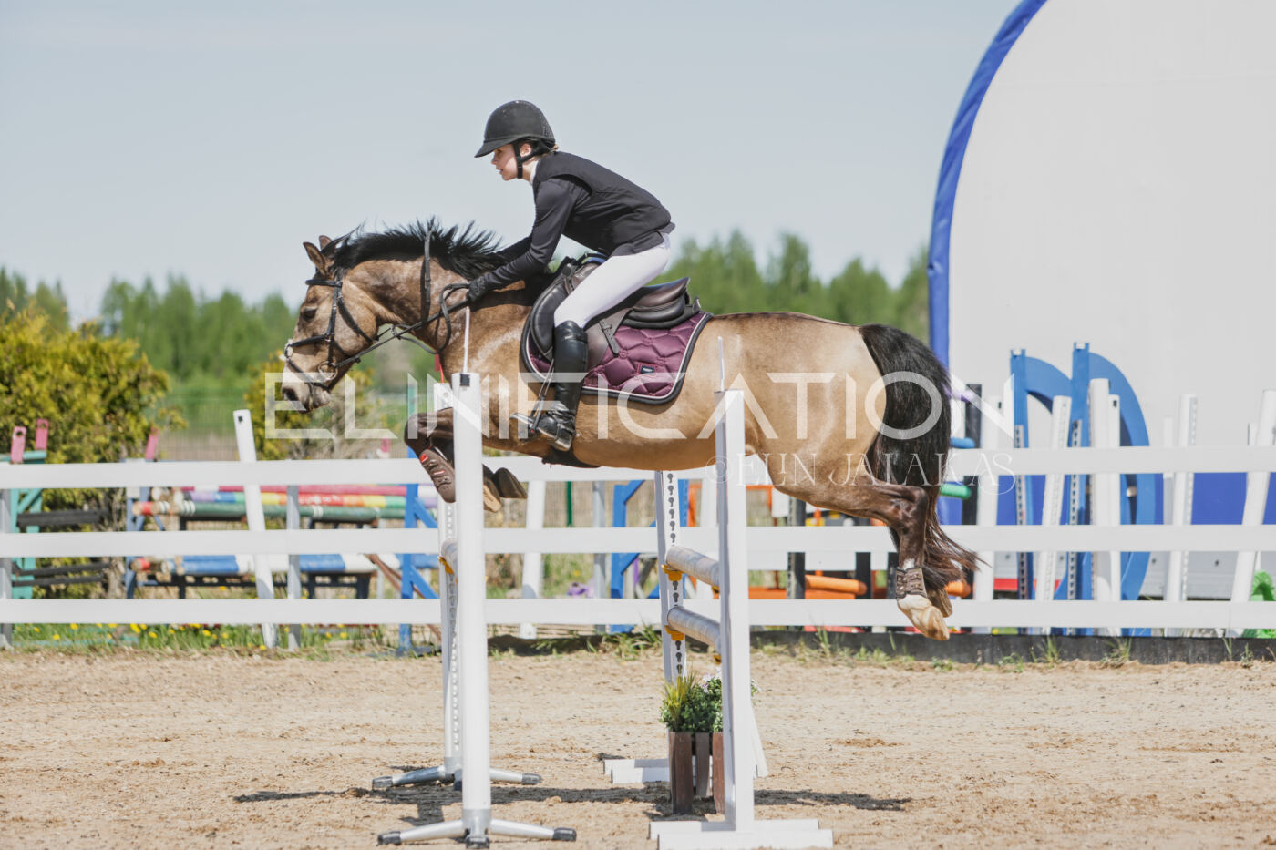 Gramina_Kevad_2026_100_042
