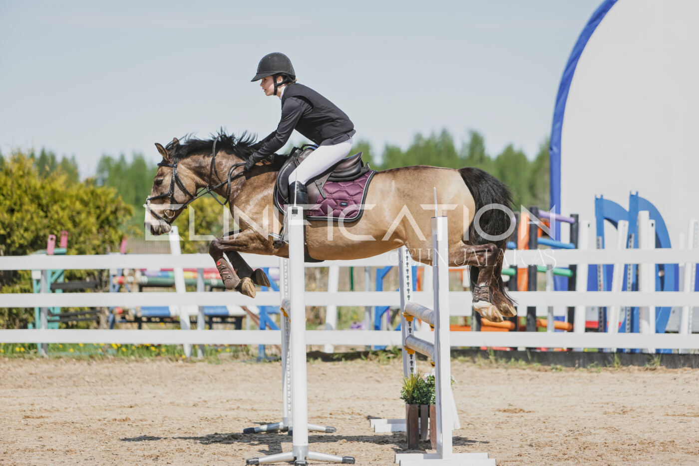 Gramina_Kevad_2026_100_043