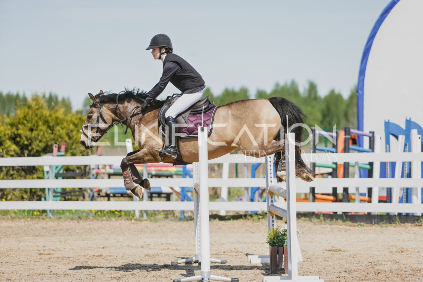 Gramina_Kevad_2026_100_044