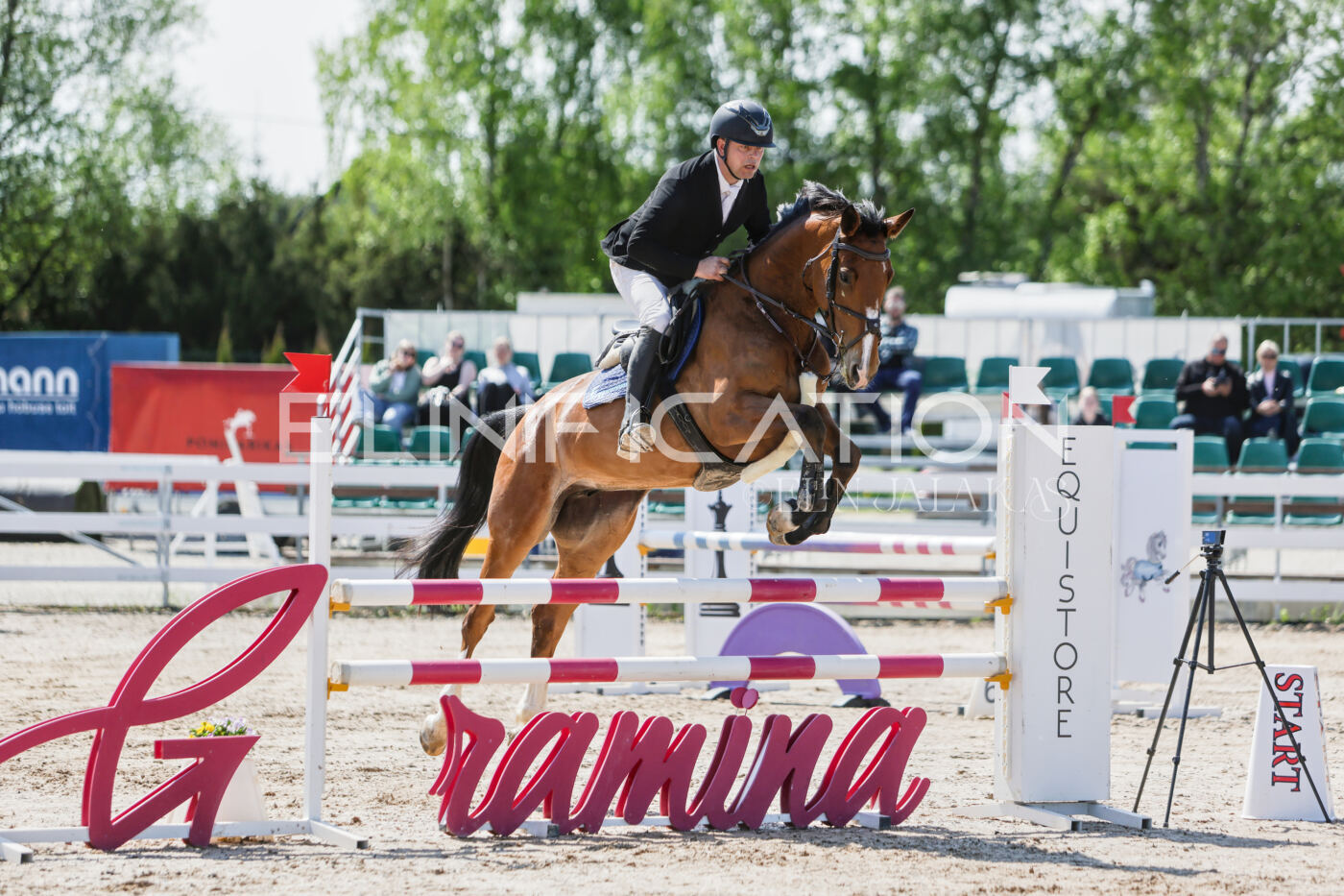 Gramina_Kevad_2026_100_046
