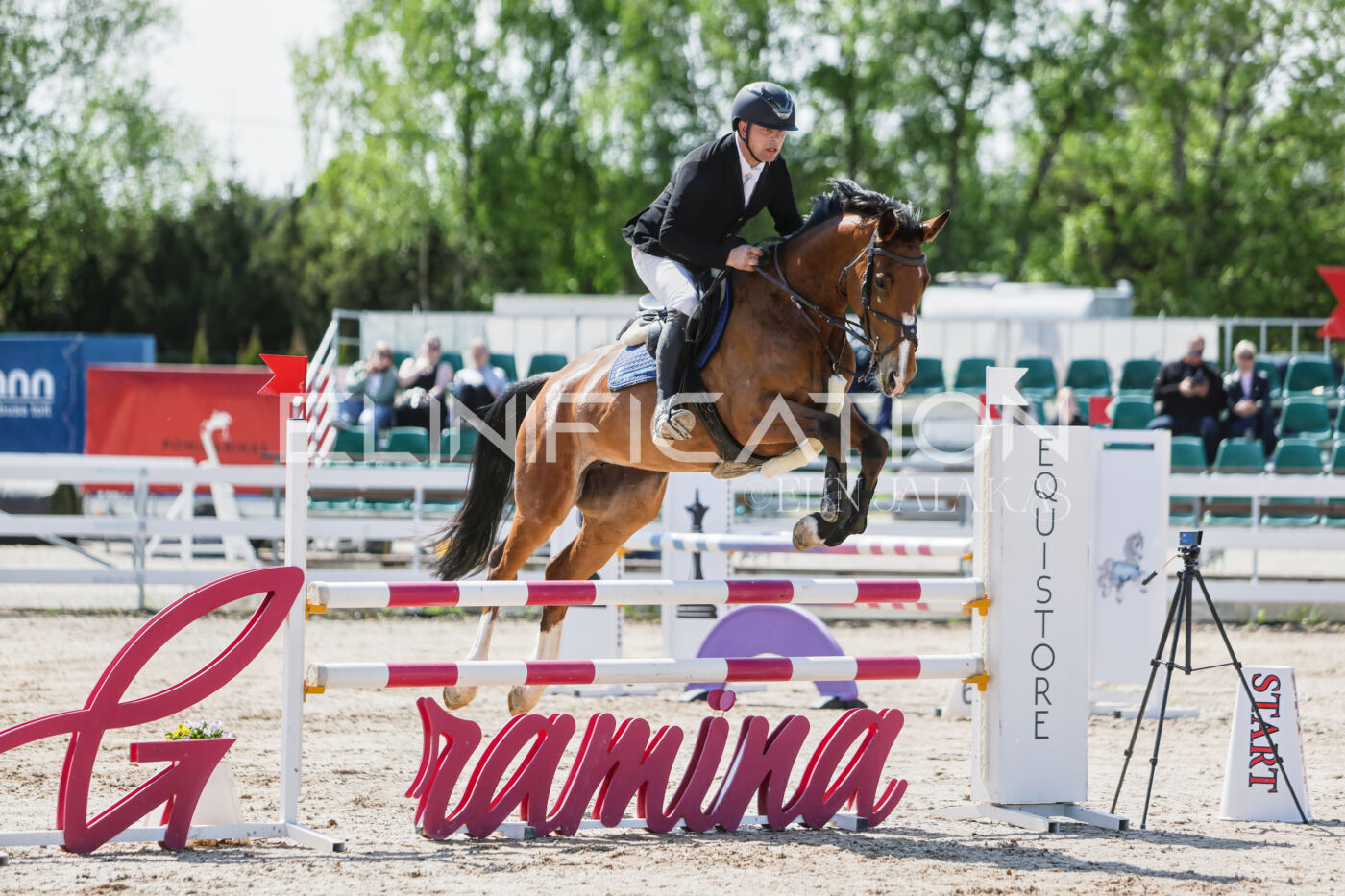 Gramina_Kevad_2026_100_047