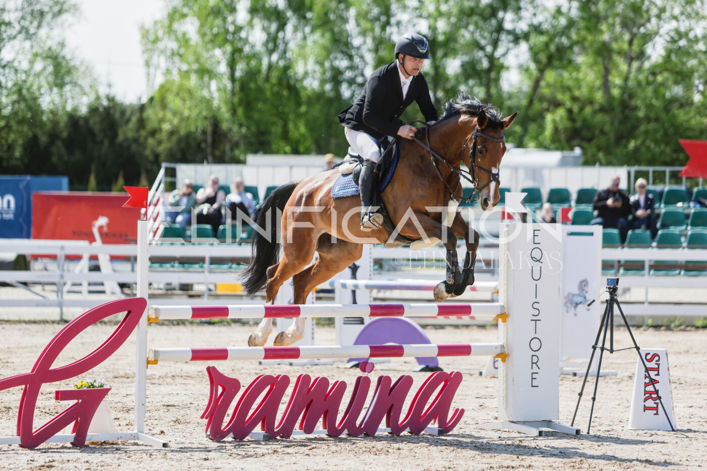 Gramina_Kevad_2026_100_048