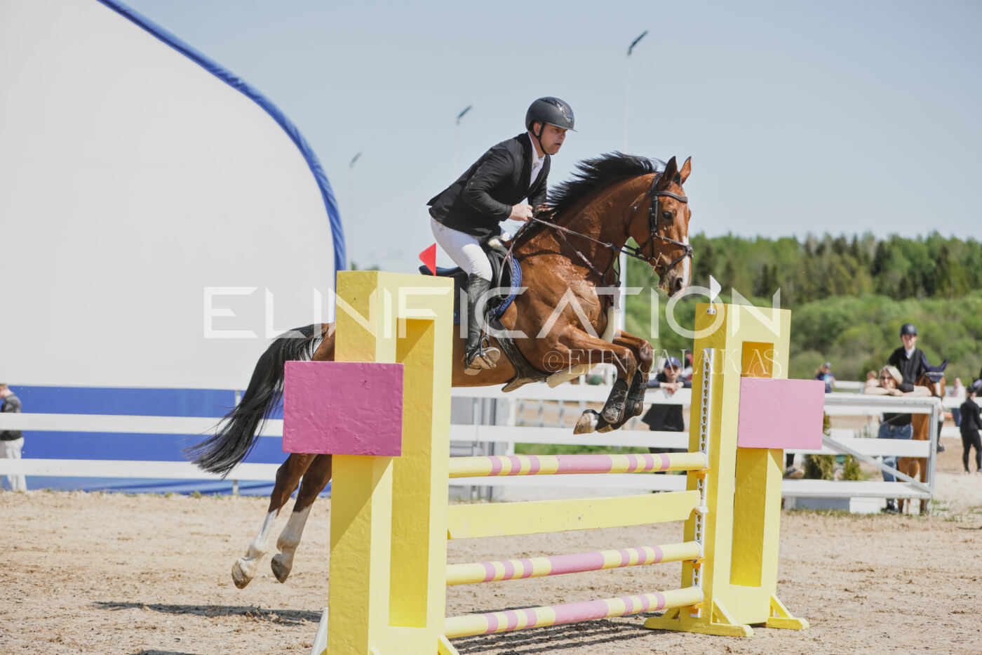 Gramina_Kevad_2026_100_049