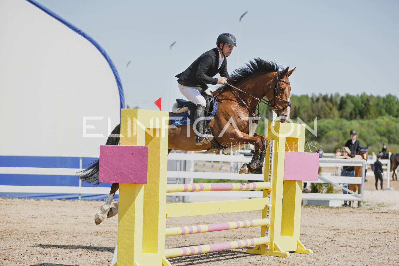 Gramina_Kevad_2026_100_050