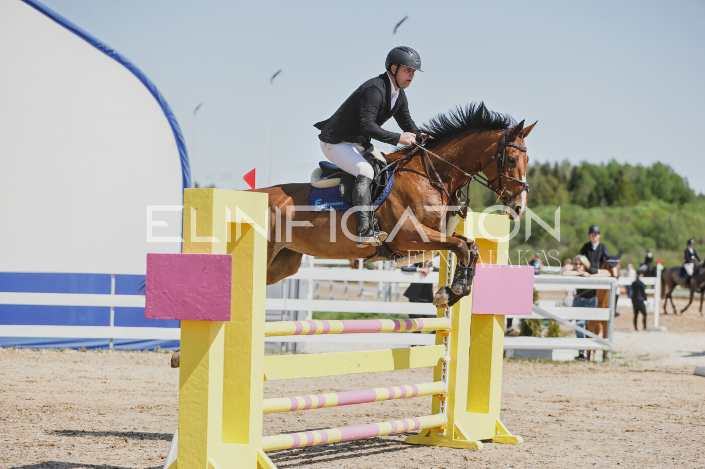 Gramina_Kevad_2026_100_051