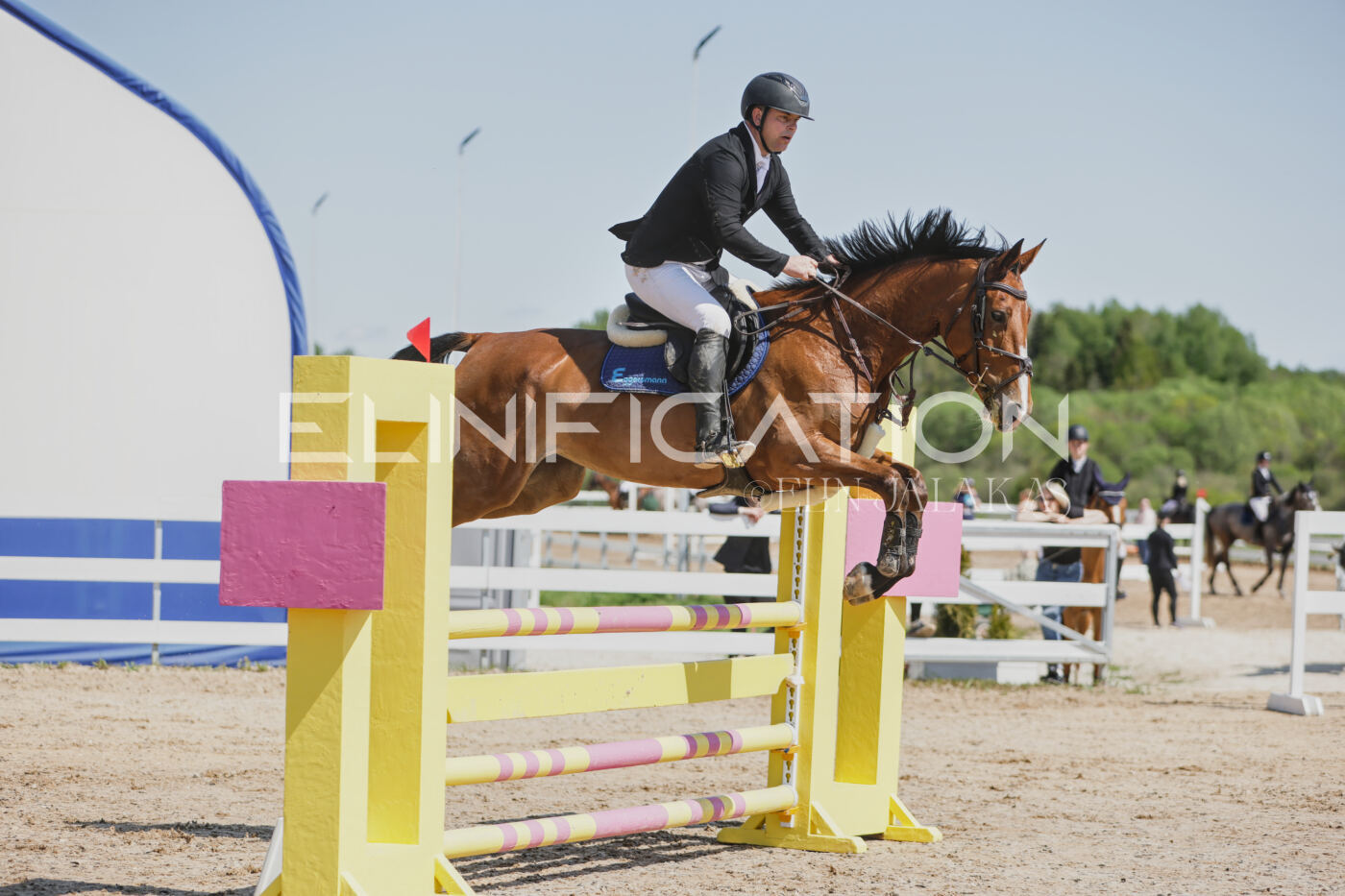Gramina_Kevad_2026_100_052