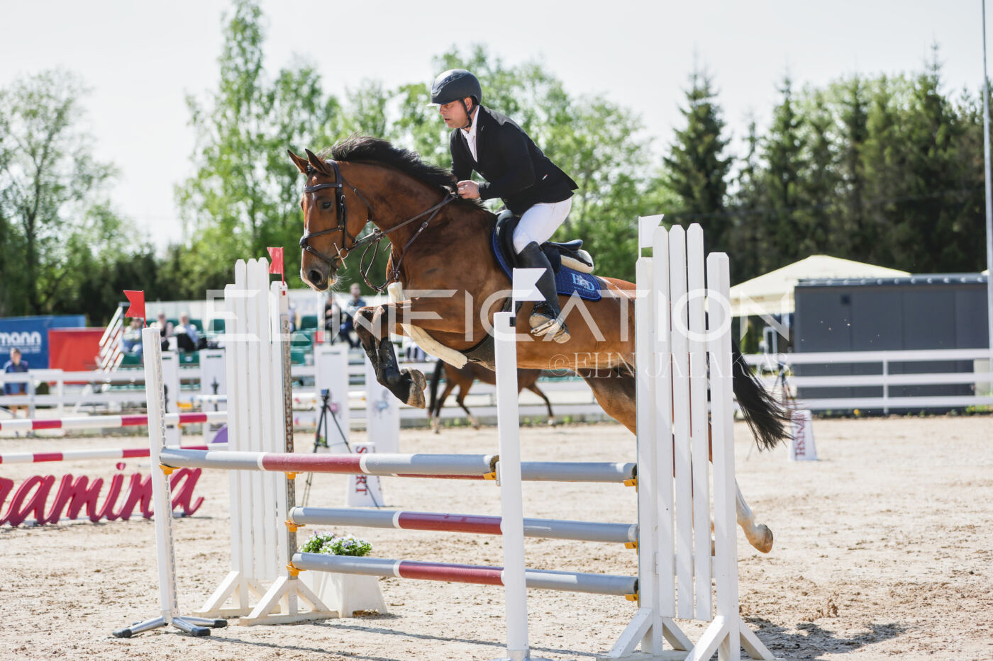Gramina_Kevad_2026_100_053