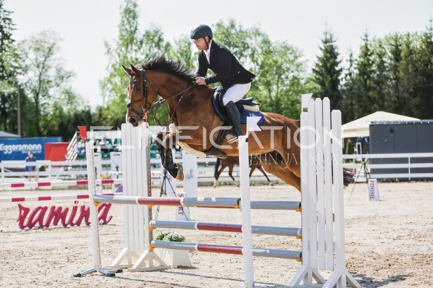 Gramina_Kevad_2026_100_054