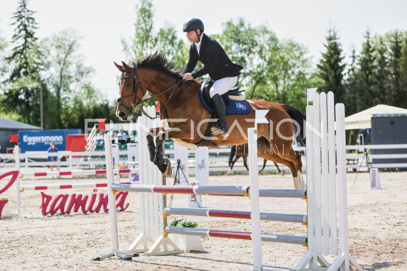 Gramina_Kevad_2026_100_055