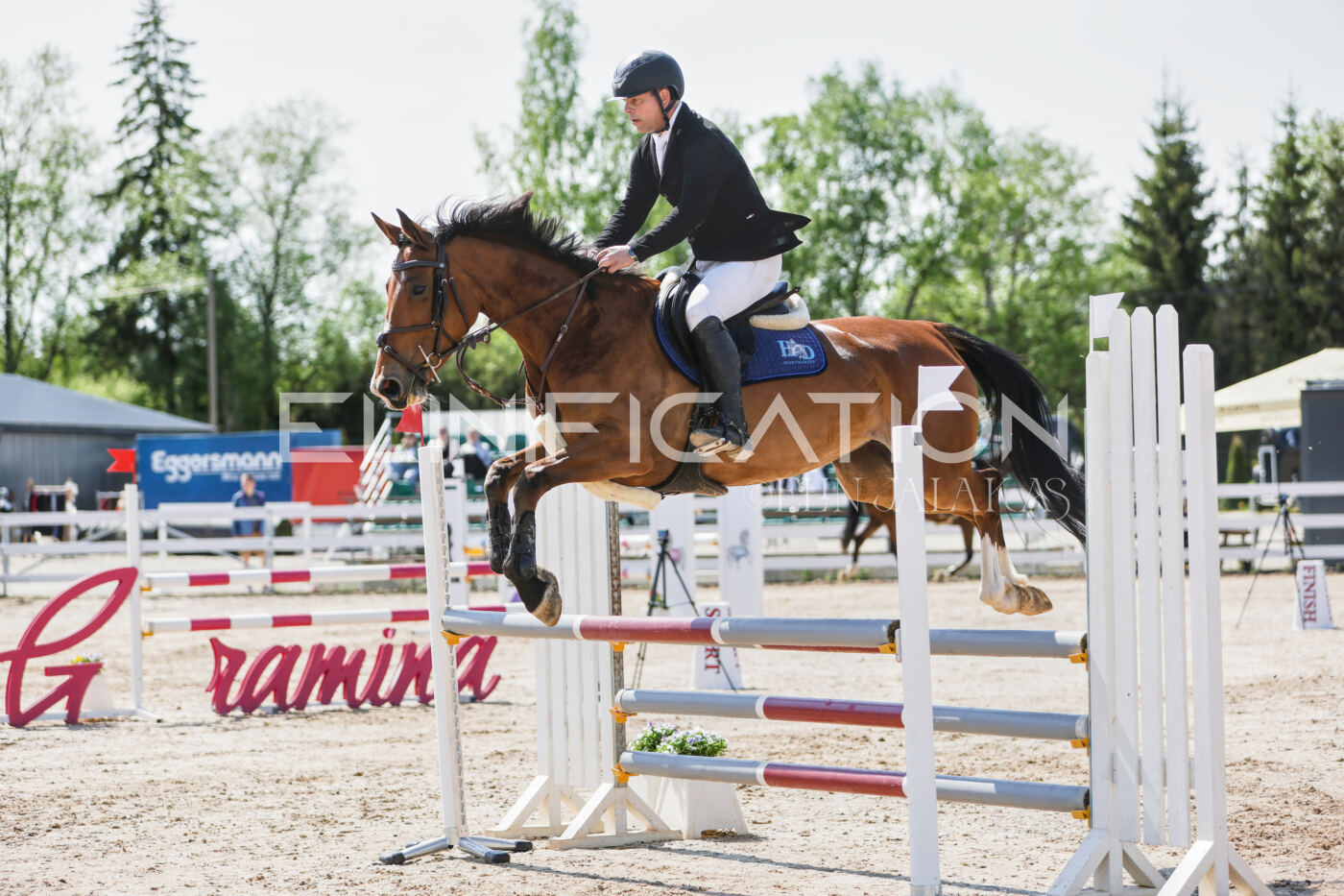Gramina_Kevad_2026_100_056