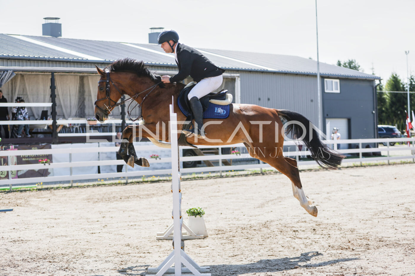 Gramina_Kevad_2026_100_058