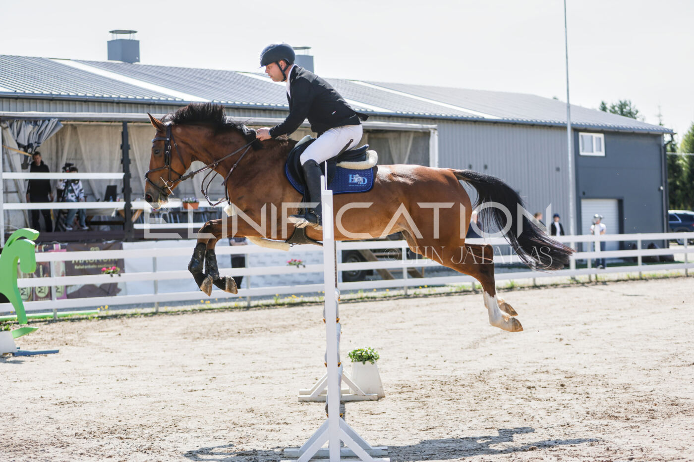 Gramina_Kevad_2026_100_059
