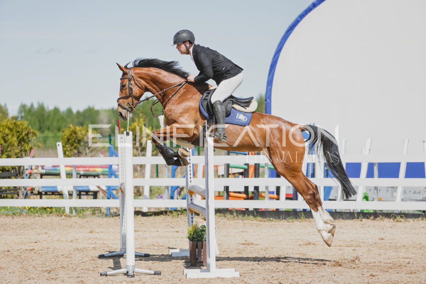 Gramina_Kevad_2026_100_061