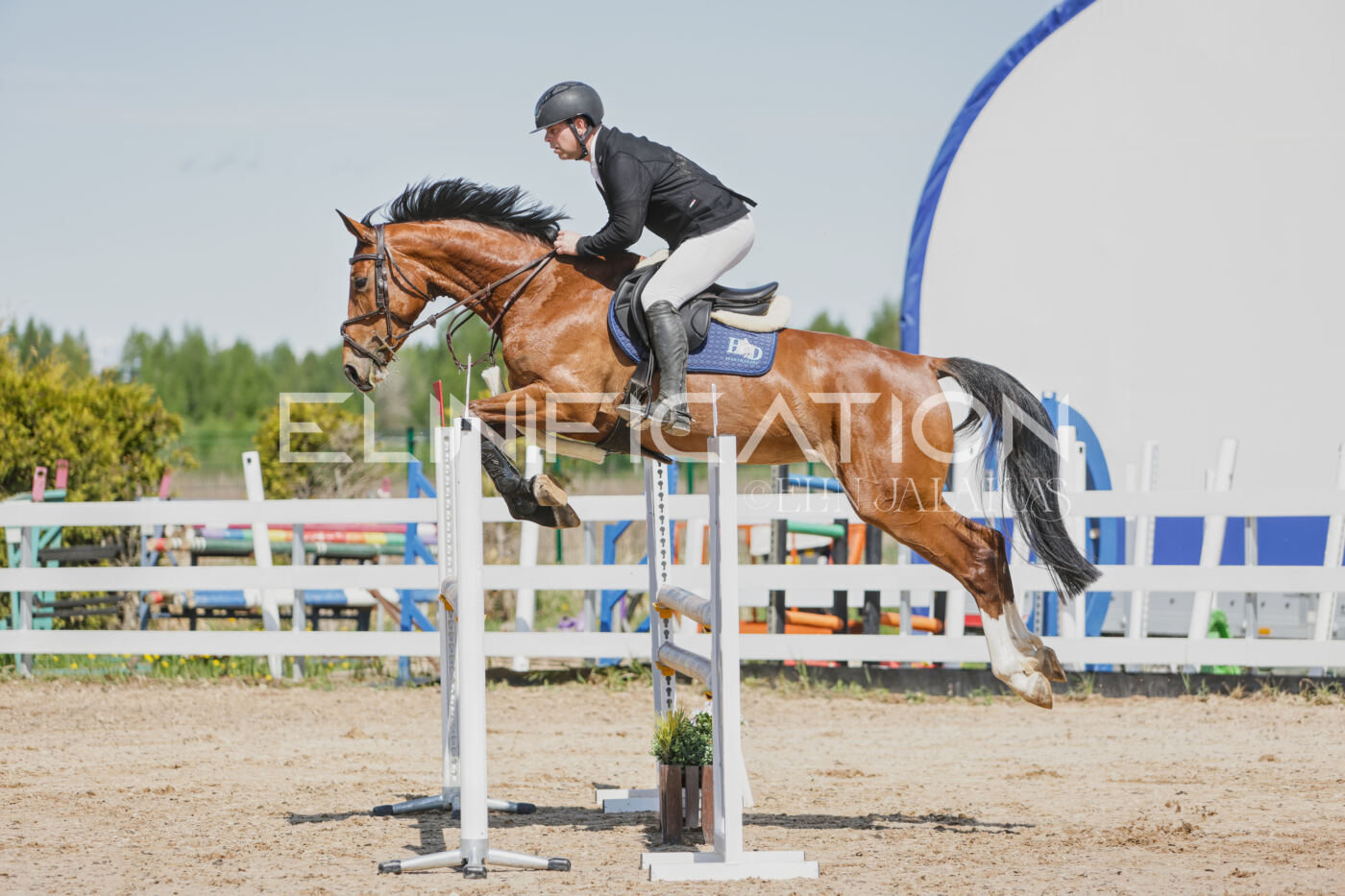 Gramina_Kevad_2026_100_062