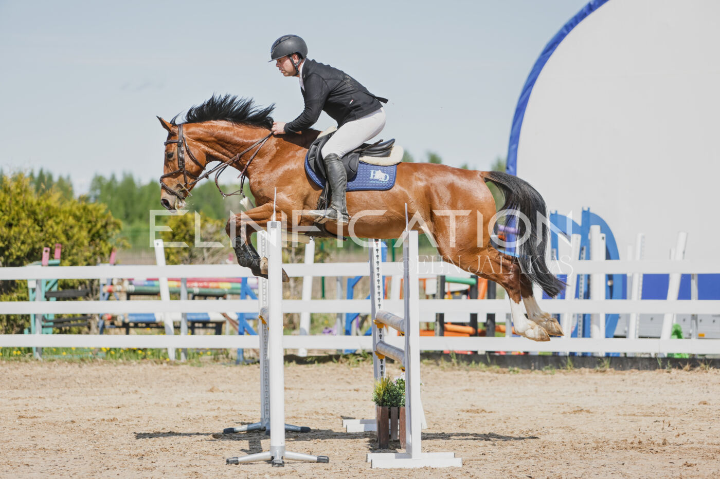 Gramina_Kevad_2026_100_063