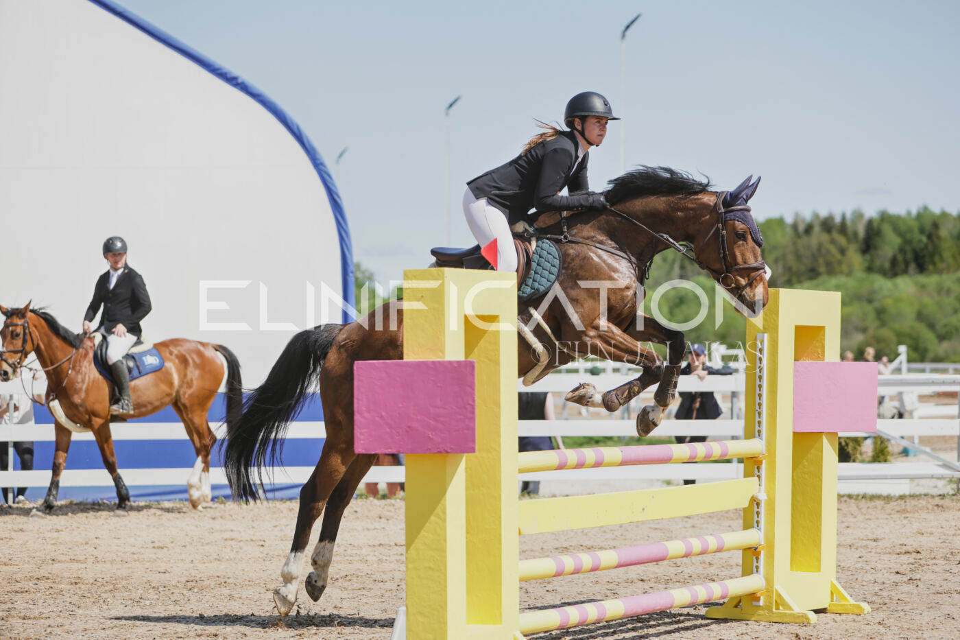 Gramina_Kevad_2026_100_064