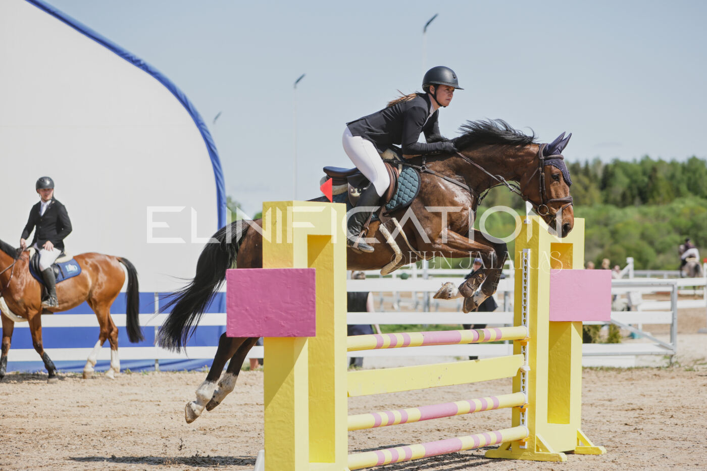 Gramina_Kevad_2026_100_065