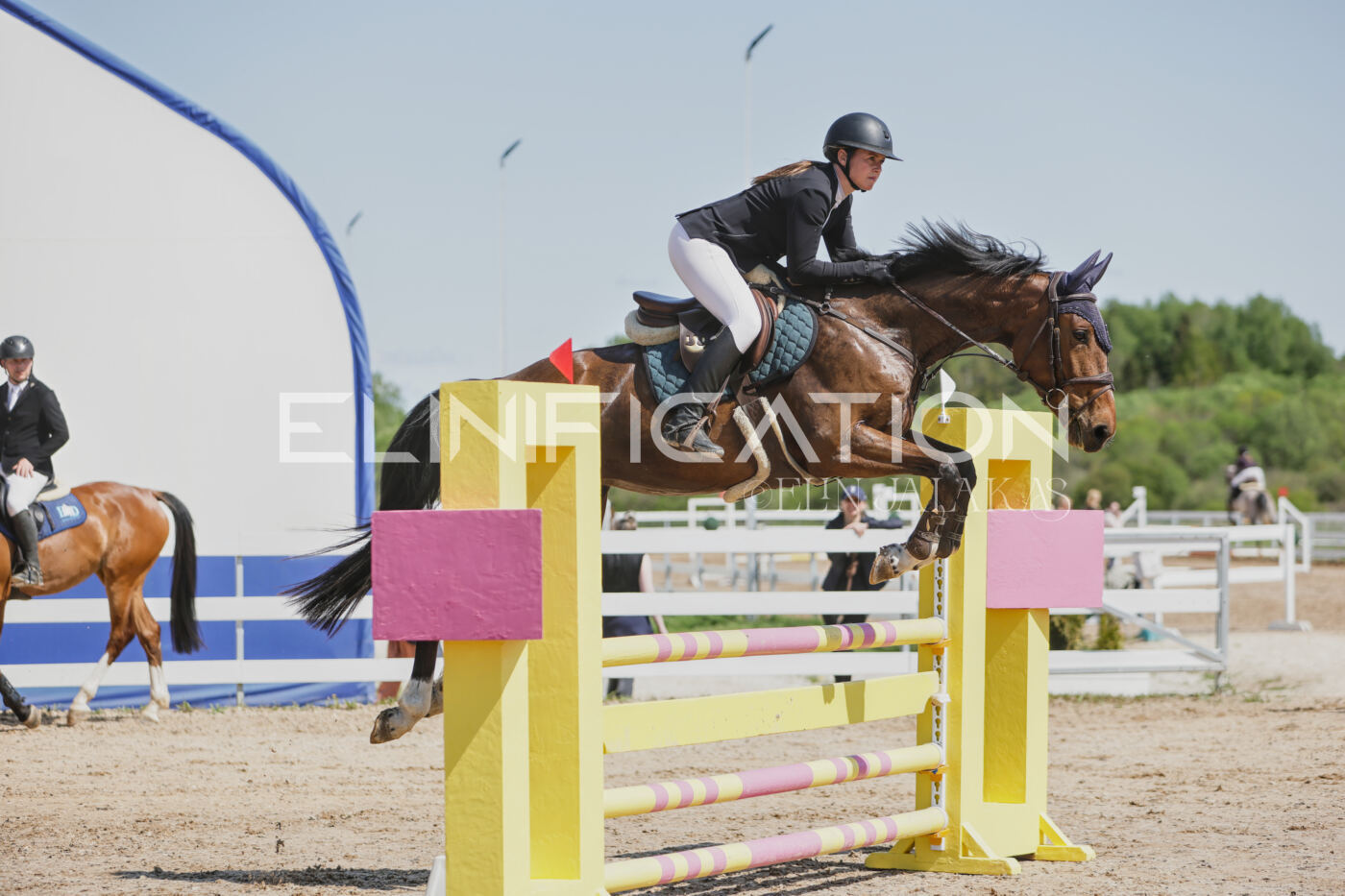 Gramina_Kevad_2026_100_066