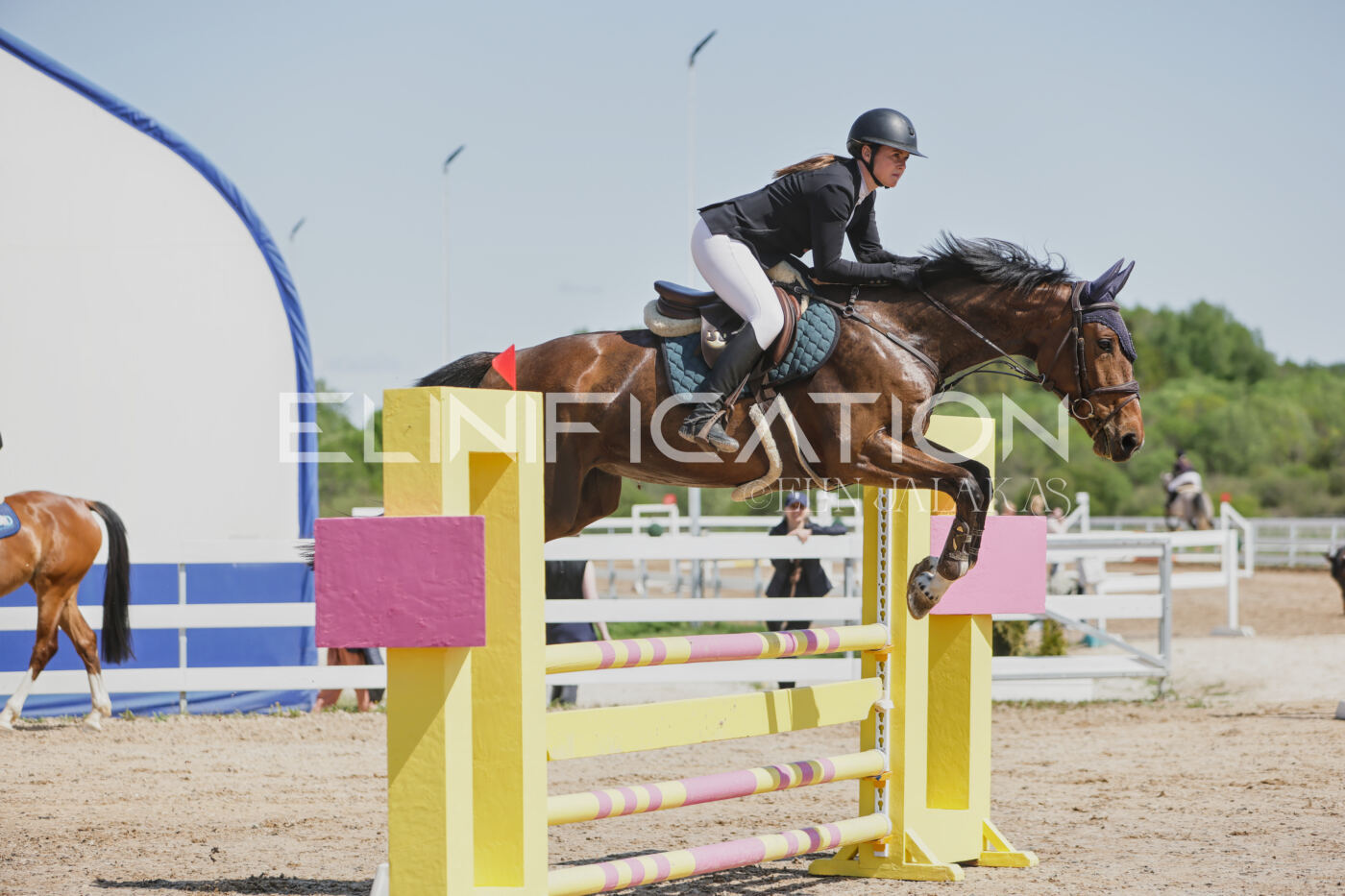 Gramina_Kevad_2026_100_067