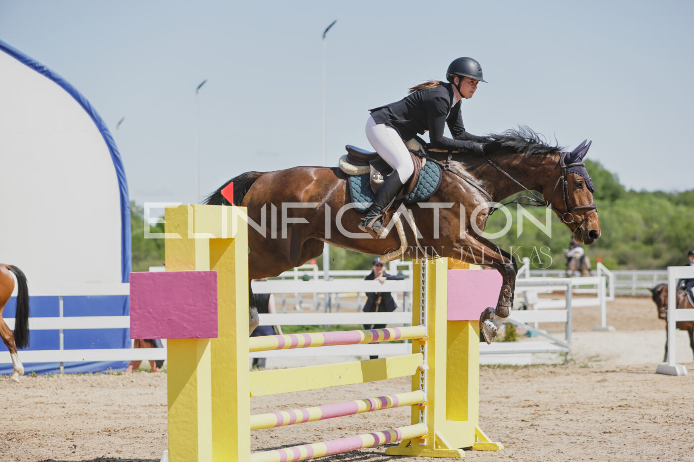Gramina_Kevad_2026_100_068