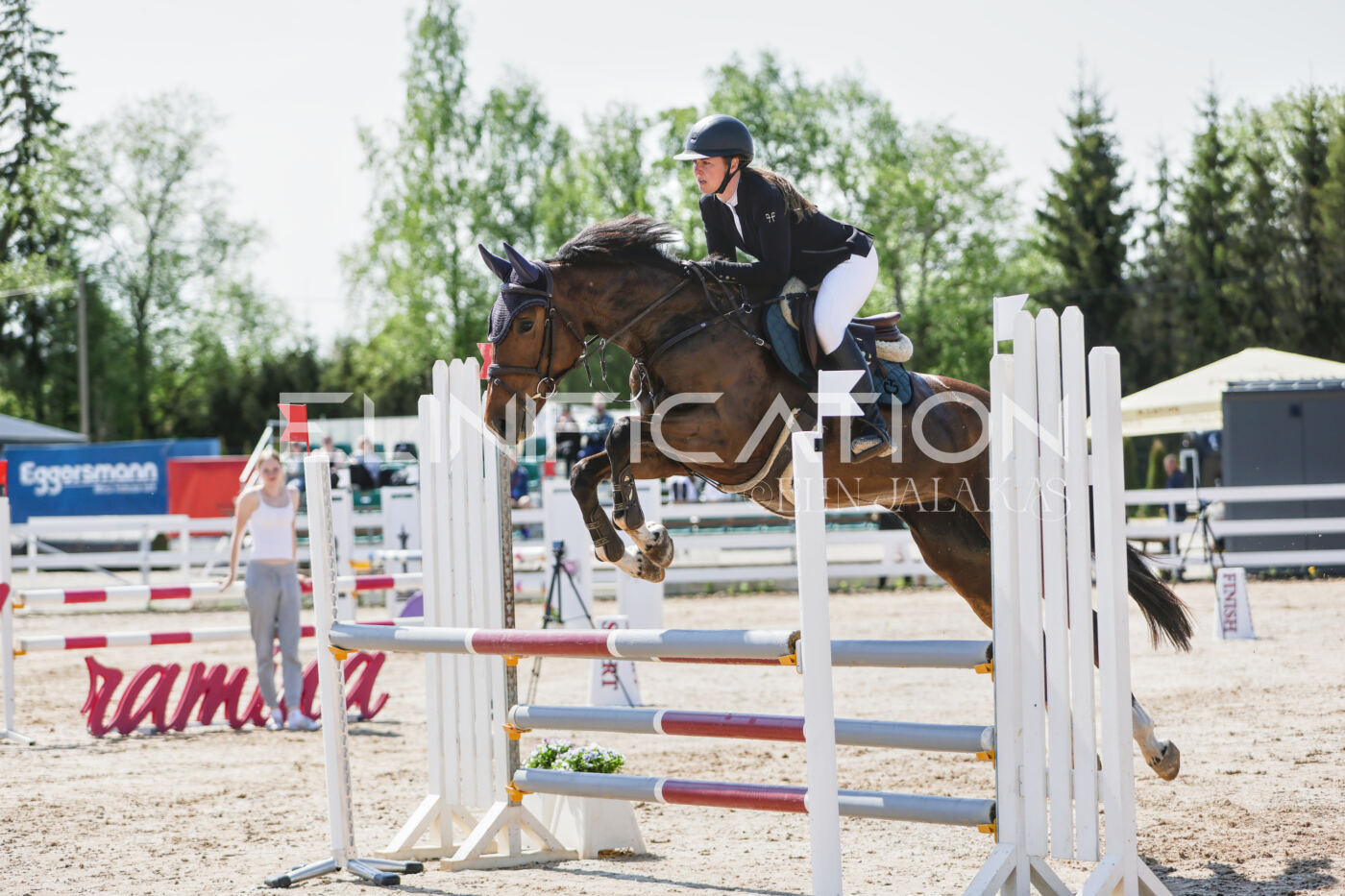 Gramina_Kevad_2026_100_070