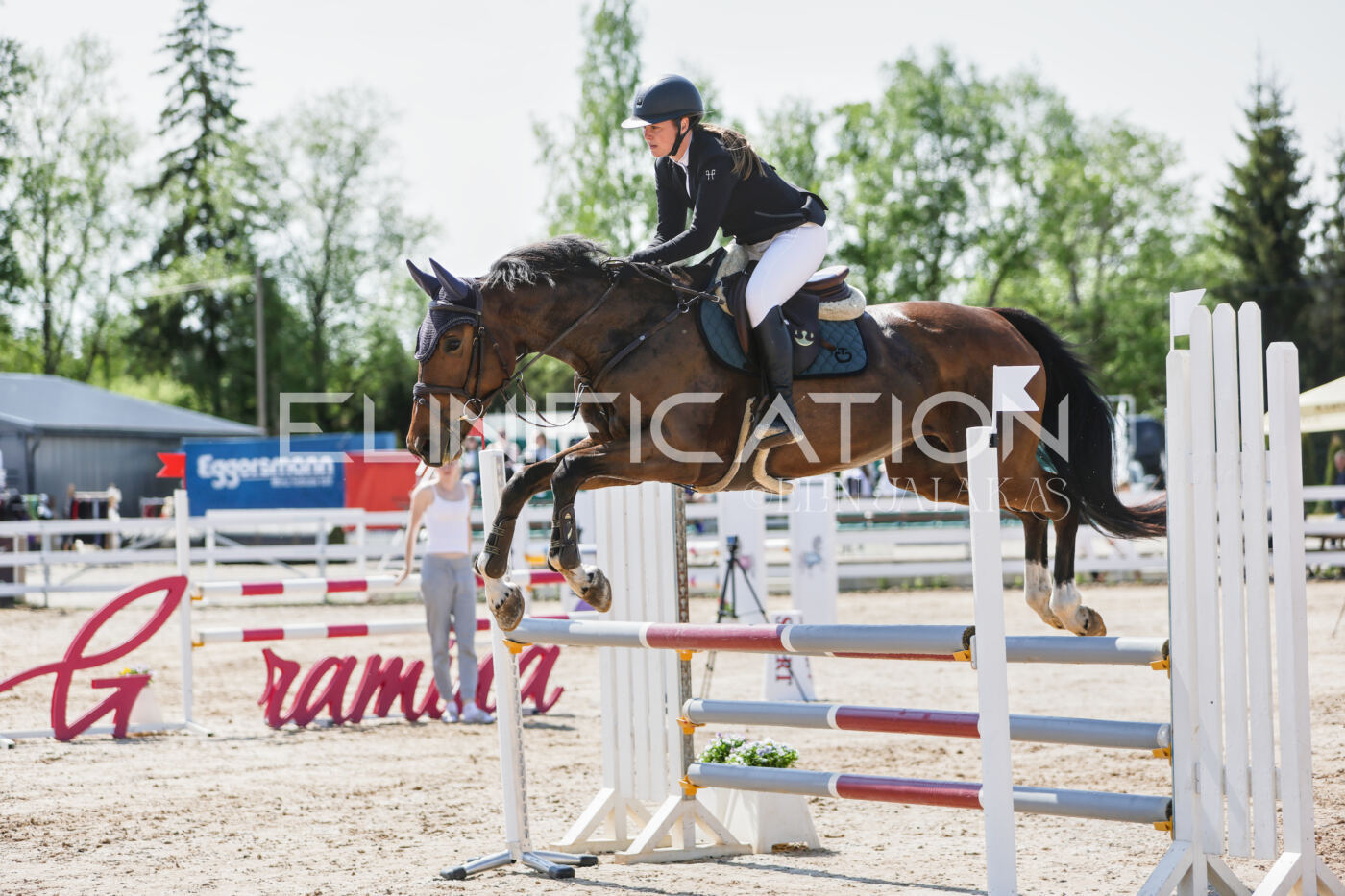 Gramina_Kevad_2026_100_073