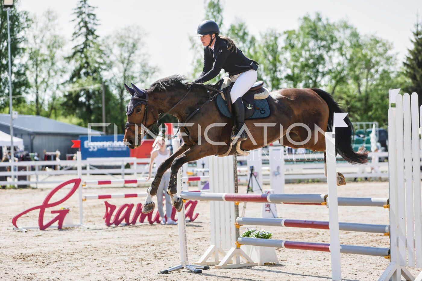 Gramina_Kevad_2026_100_074