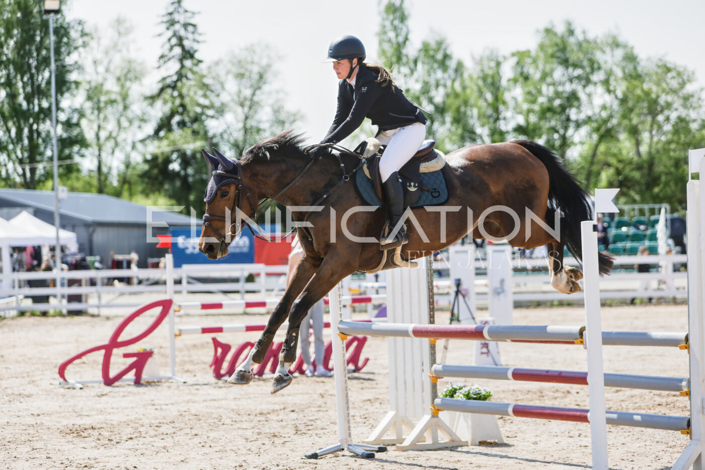 Gramina_Kevad_2026_100_075