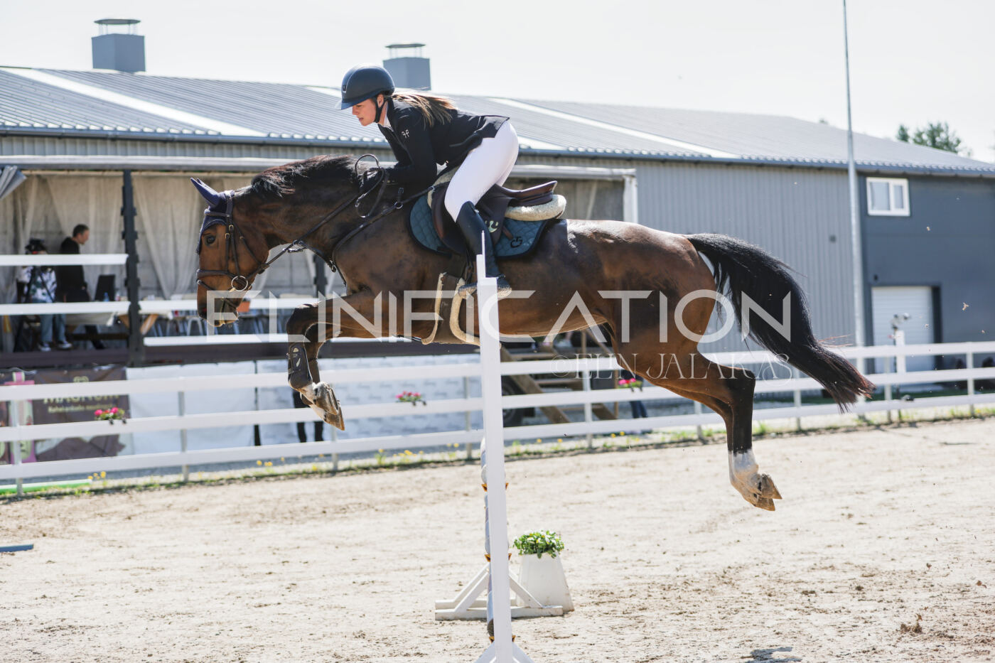 Gramina_Kevad_2026_100_078