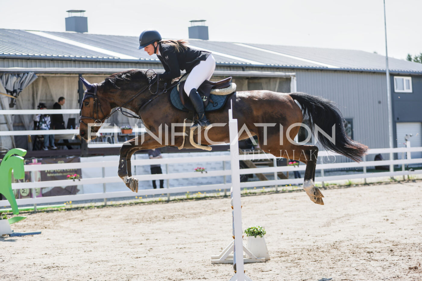Gramina_Kevad_2026_100_079