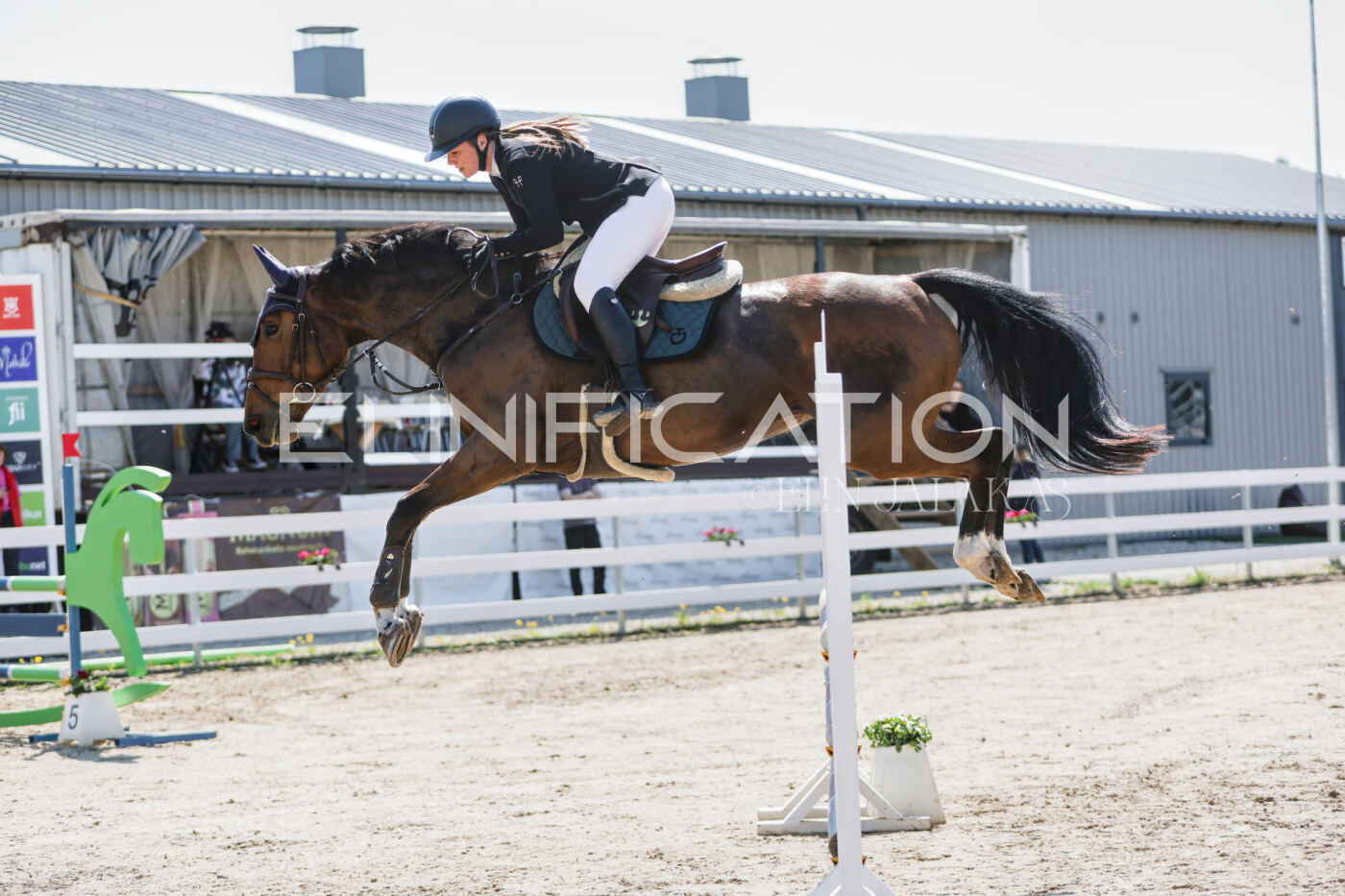 Gramina_Kevad_2026_100_080