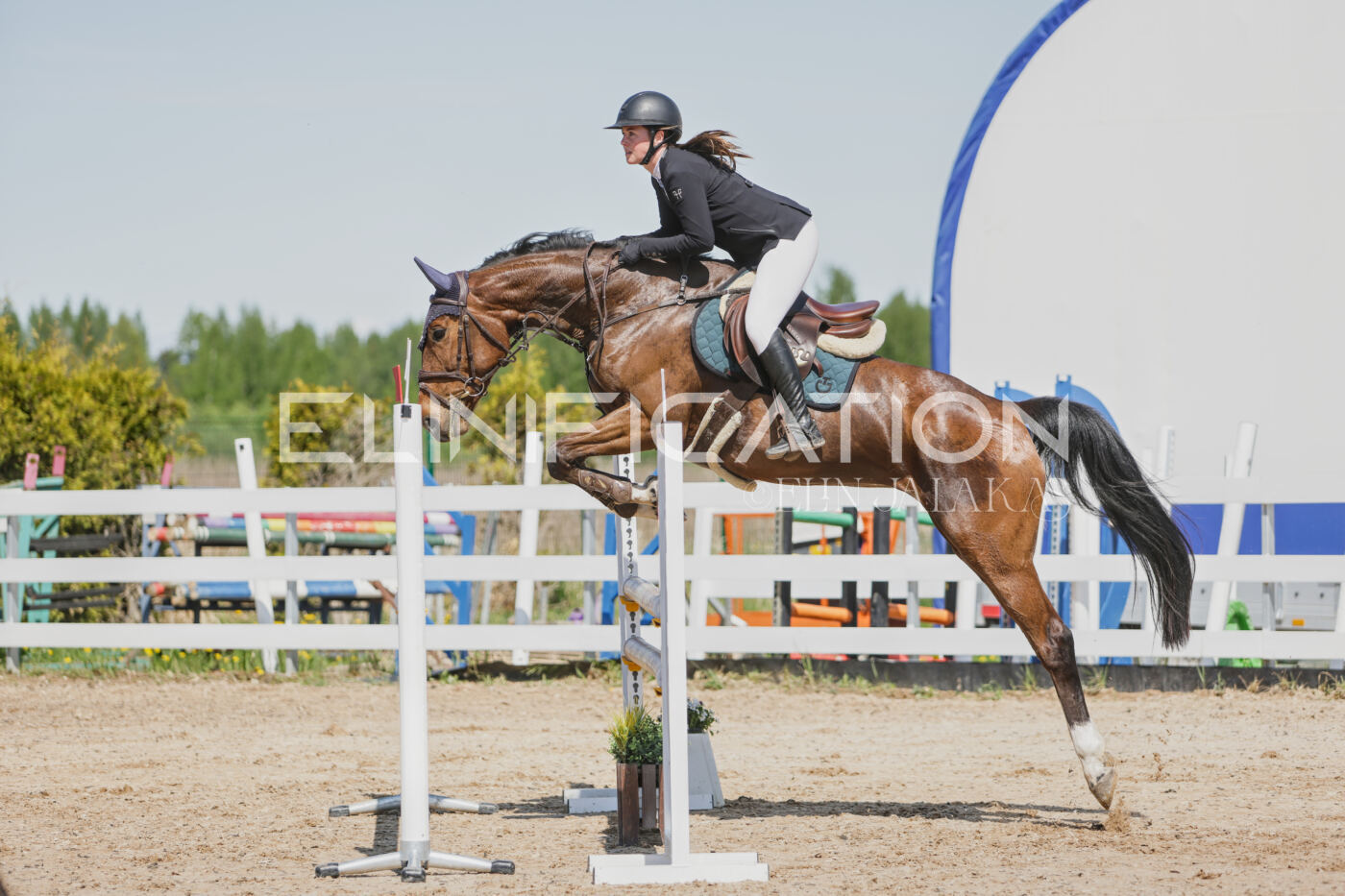 Gramina_Kevad_2026_100_081