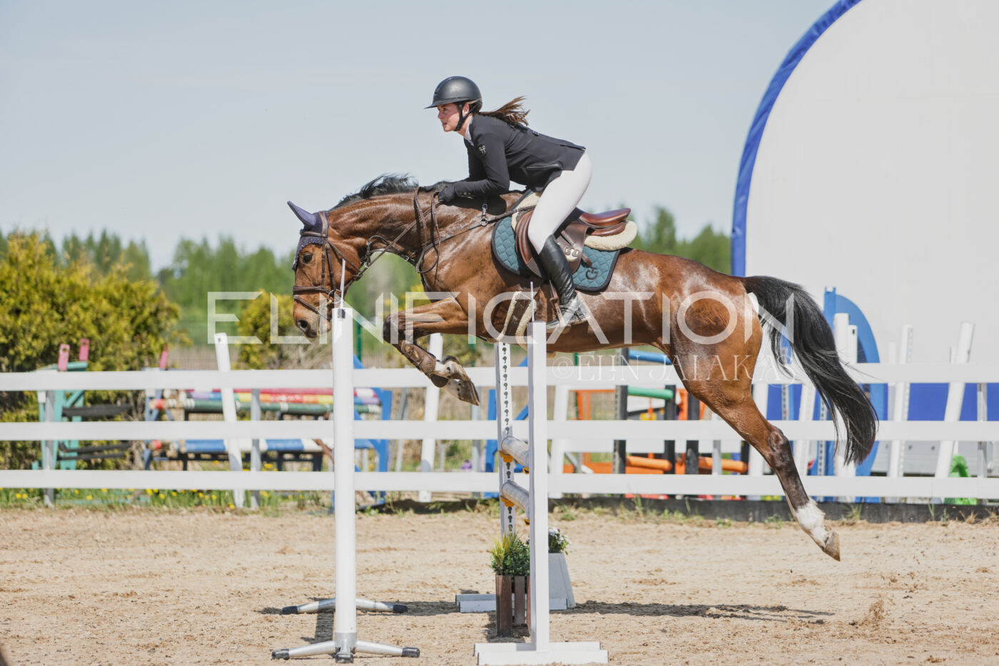 Gramina_Kevad_2026_100_082