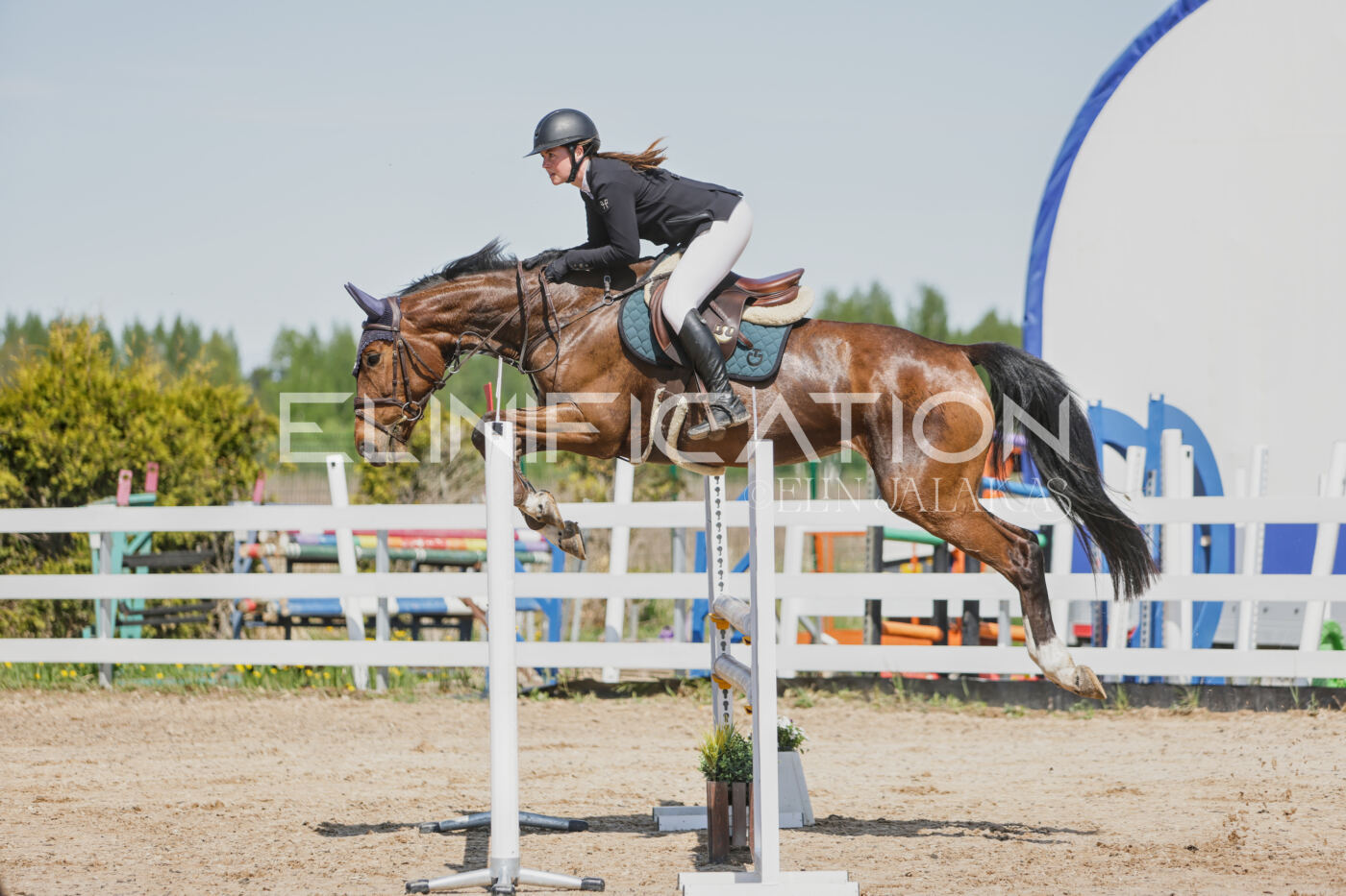 Gramina_Kevad_2026_100_083