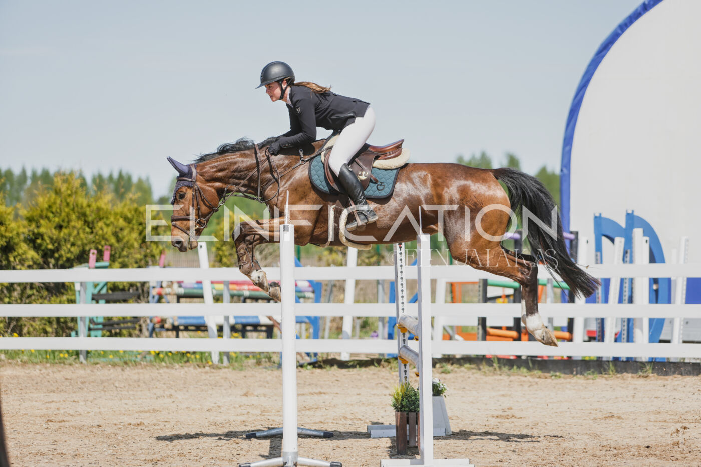 Gramina_Kevad_2026_100_084