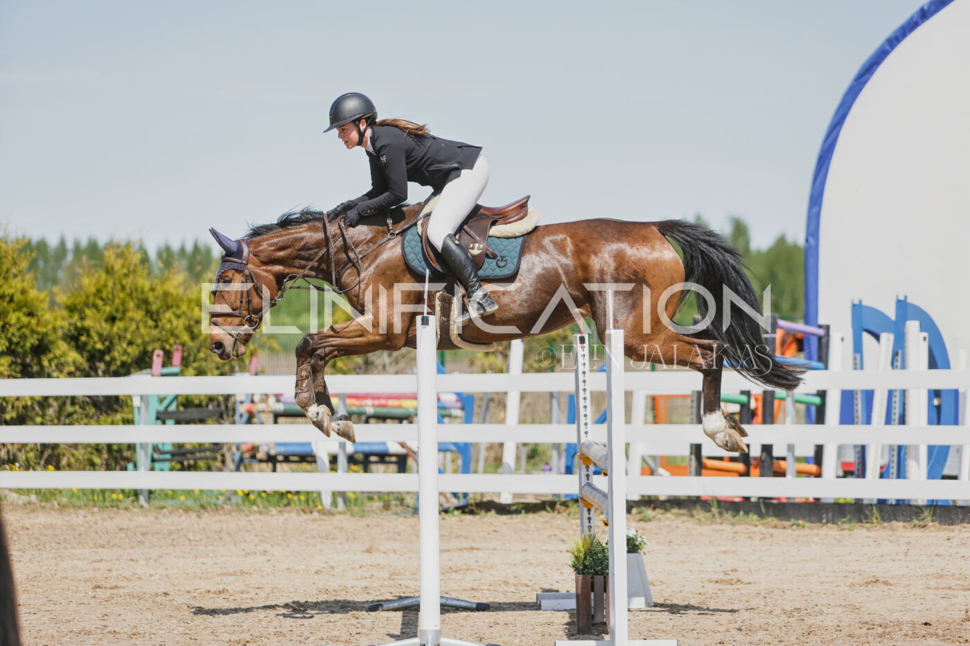 Gramina_Kevad_2026_100_085