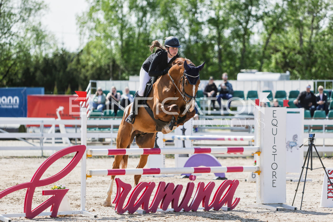Gramina_Kevad_2026_100_086