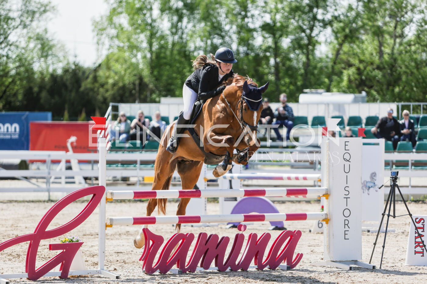 Gramina_Kevad_2026_100_087