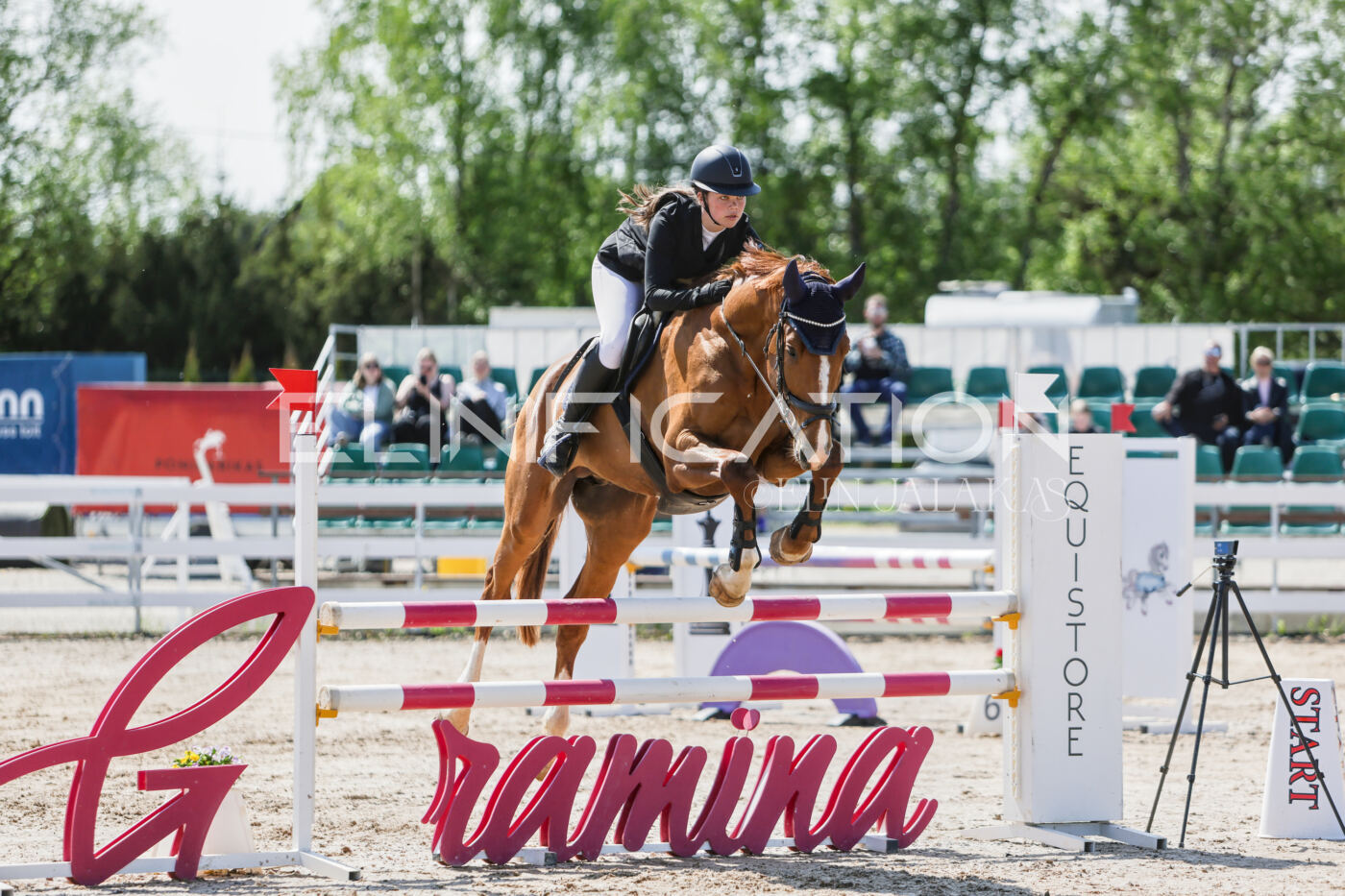 Gramina_Kevad_2026_100_088