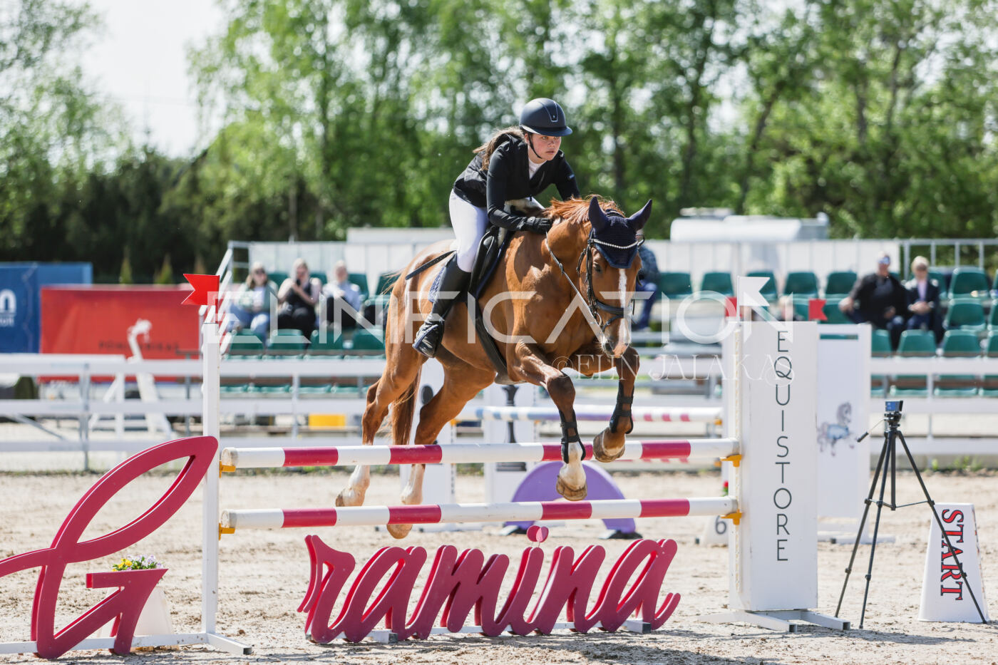 Gramina_Kevad_2026_100_089